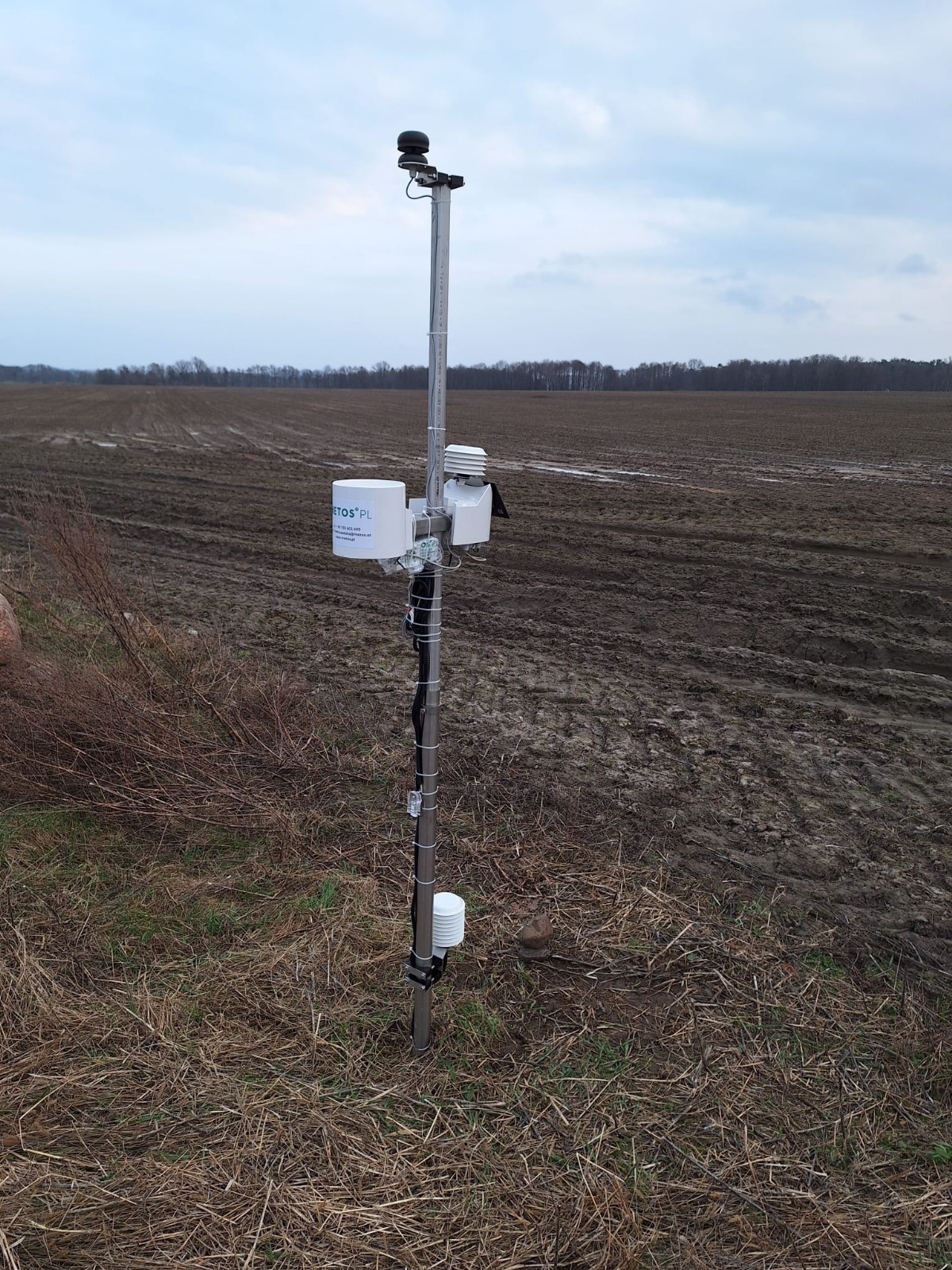 Zdjęcie WhatsApp 2025-07-23 o 09.31.21_c1334792