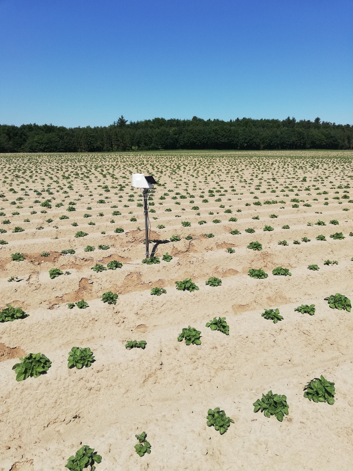 Zdjęcie WhatsApp 2025-07-23 o 09.41.07_057e7eac