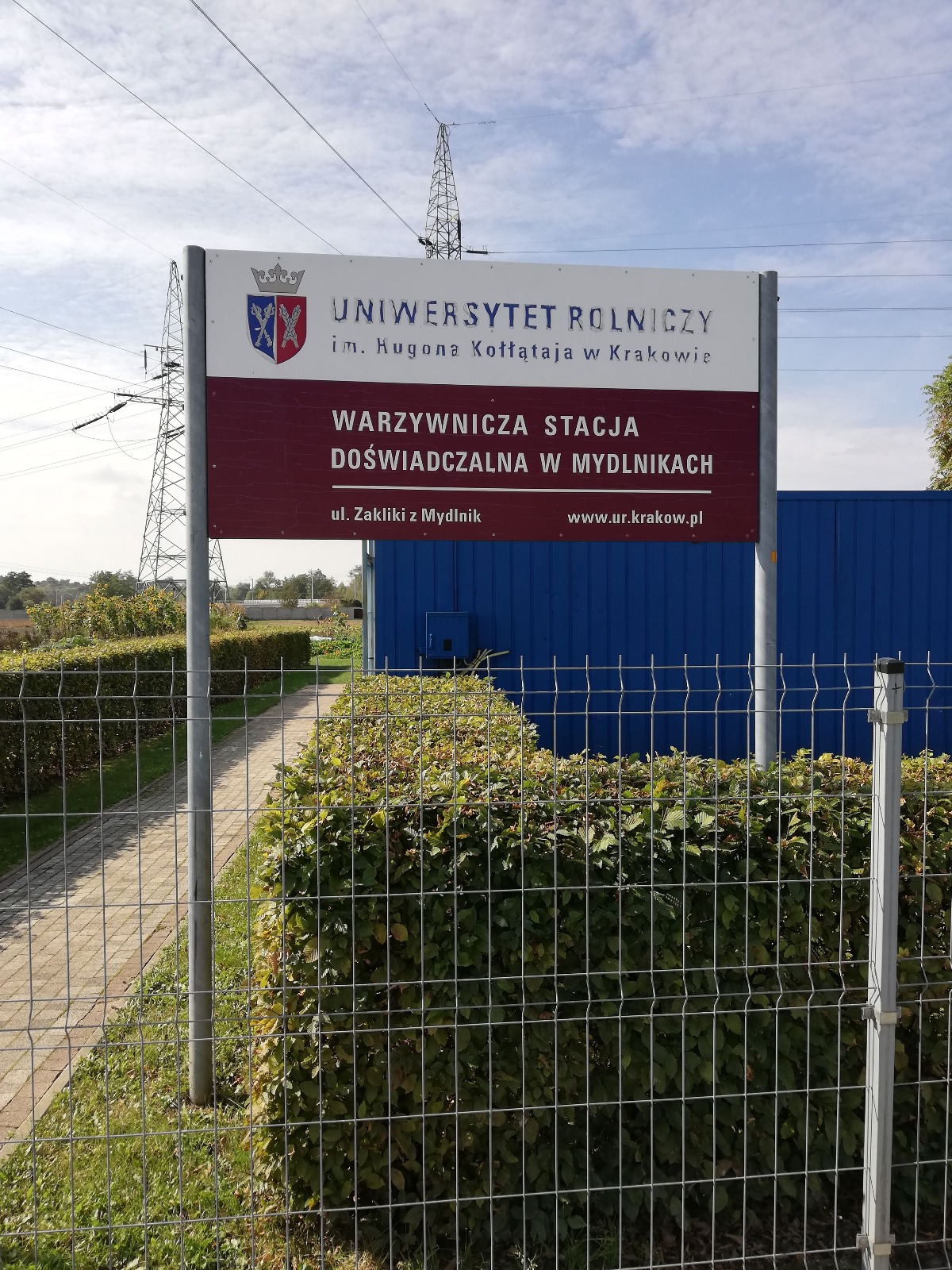 Zdjęcie WhatsApp 2025-07-23 o 09.45.05_bcf7c593