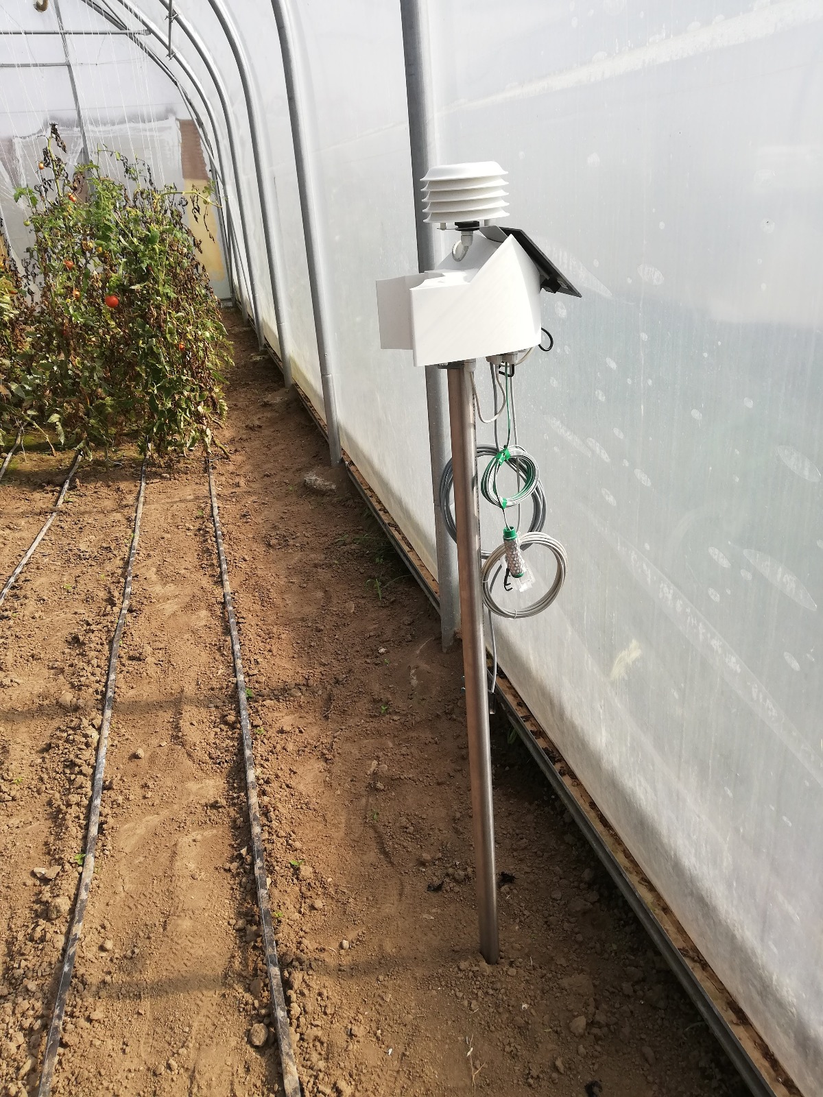 Zdjęcie WhatsApp 2025-07-23 o 09.45.05_dc9673c6